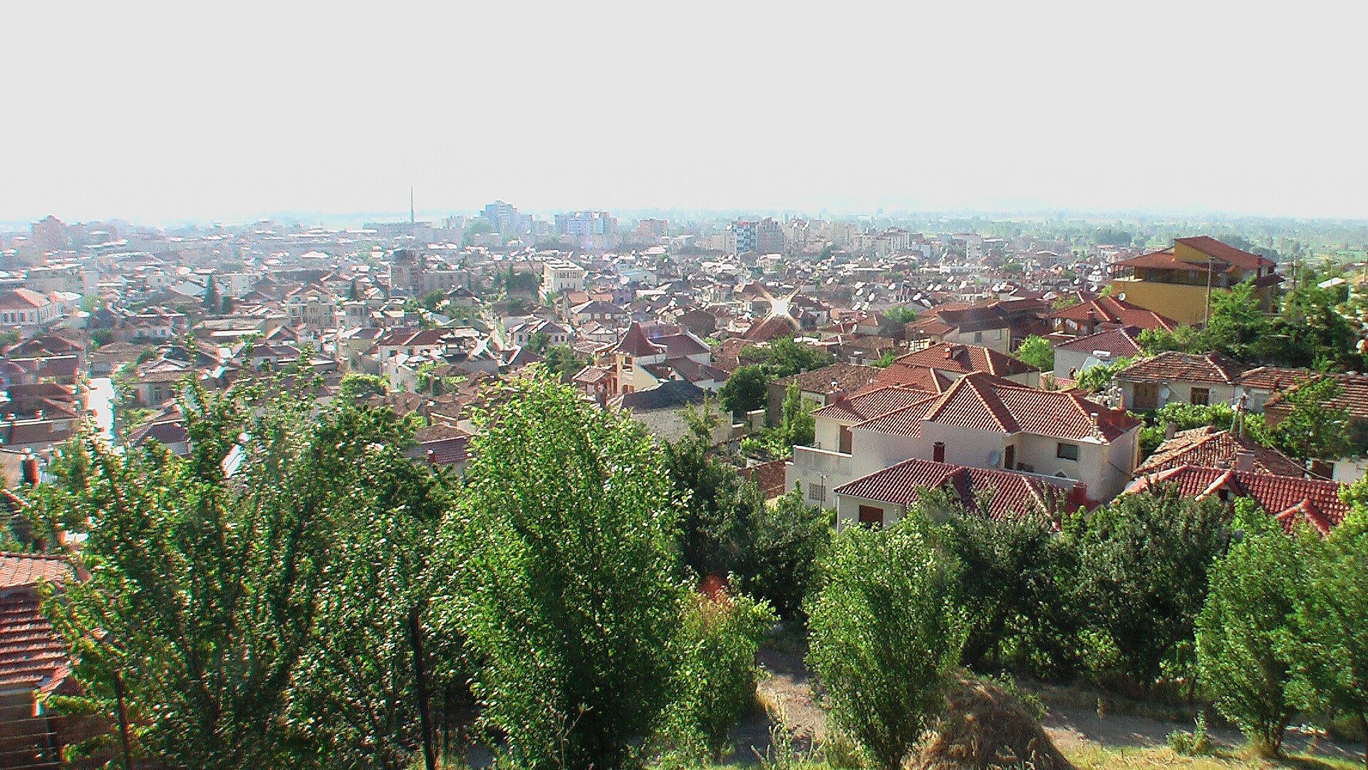 Coriza