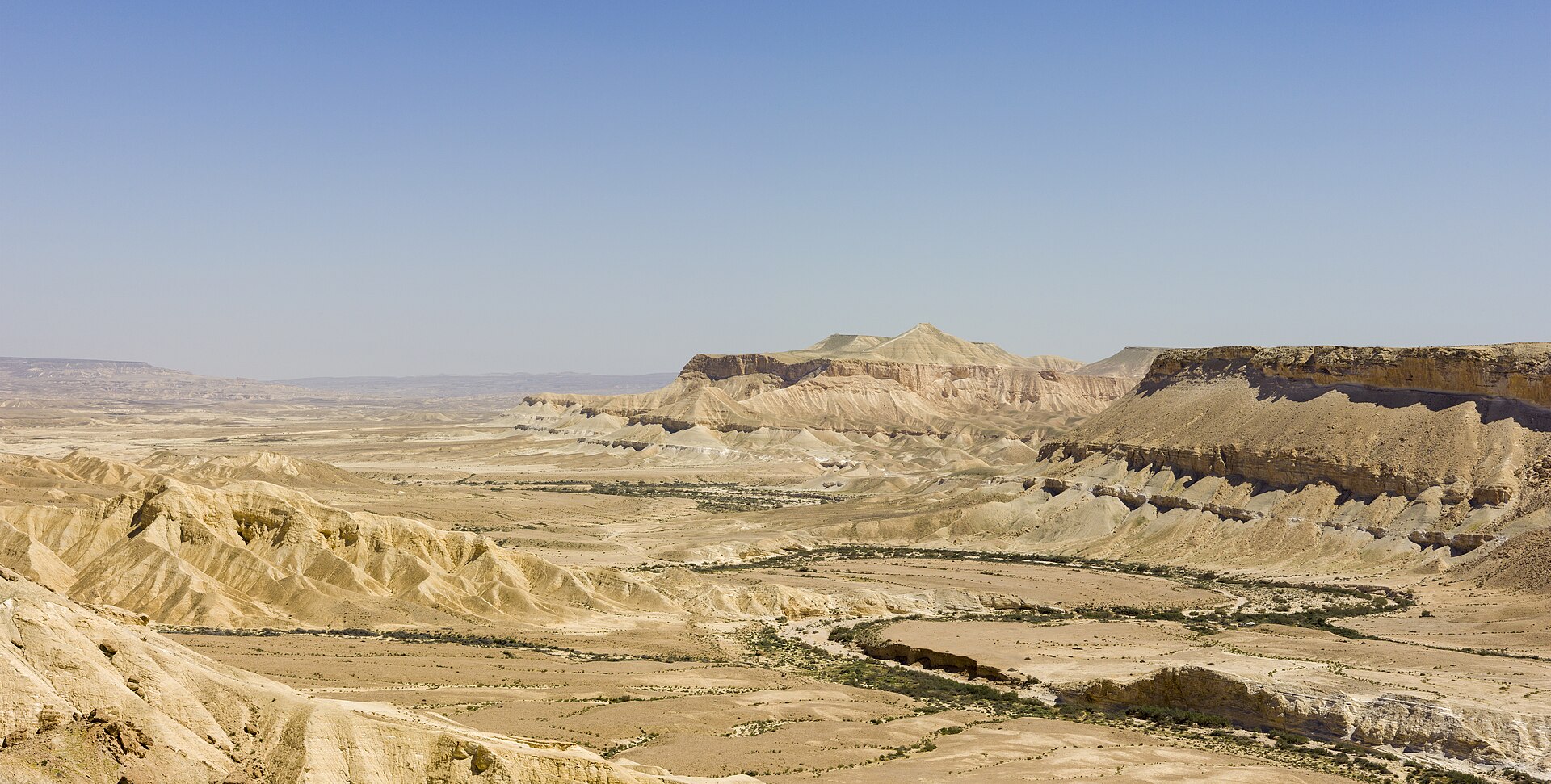 deserto del Negev