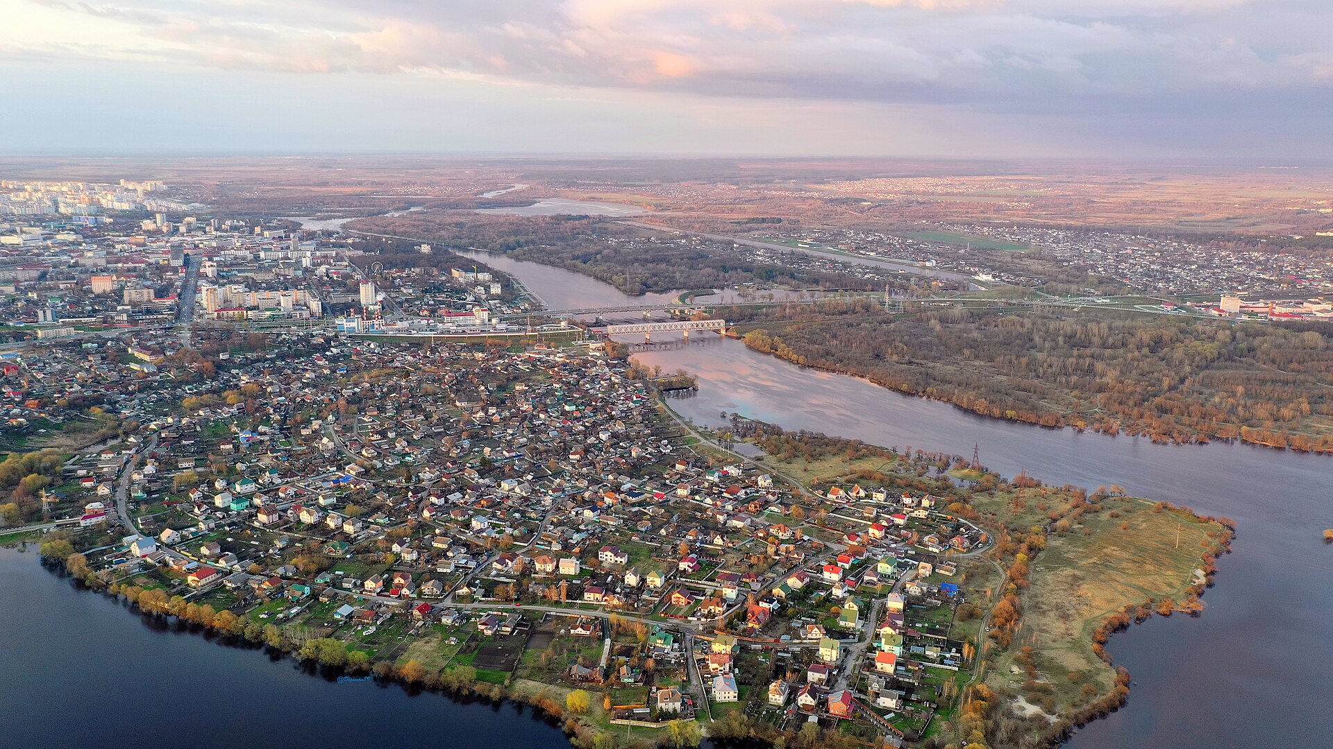 Gomel