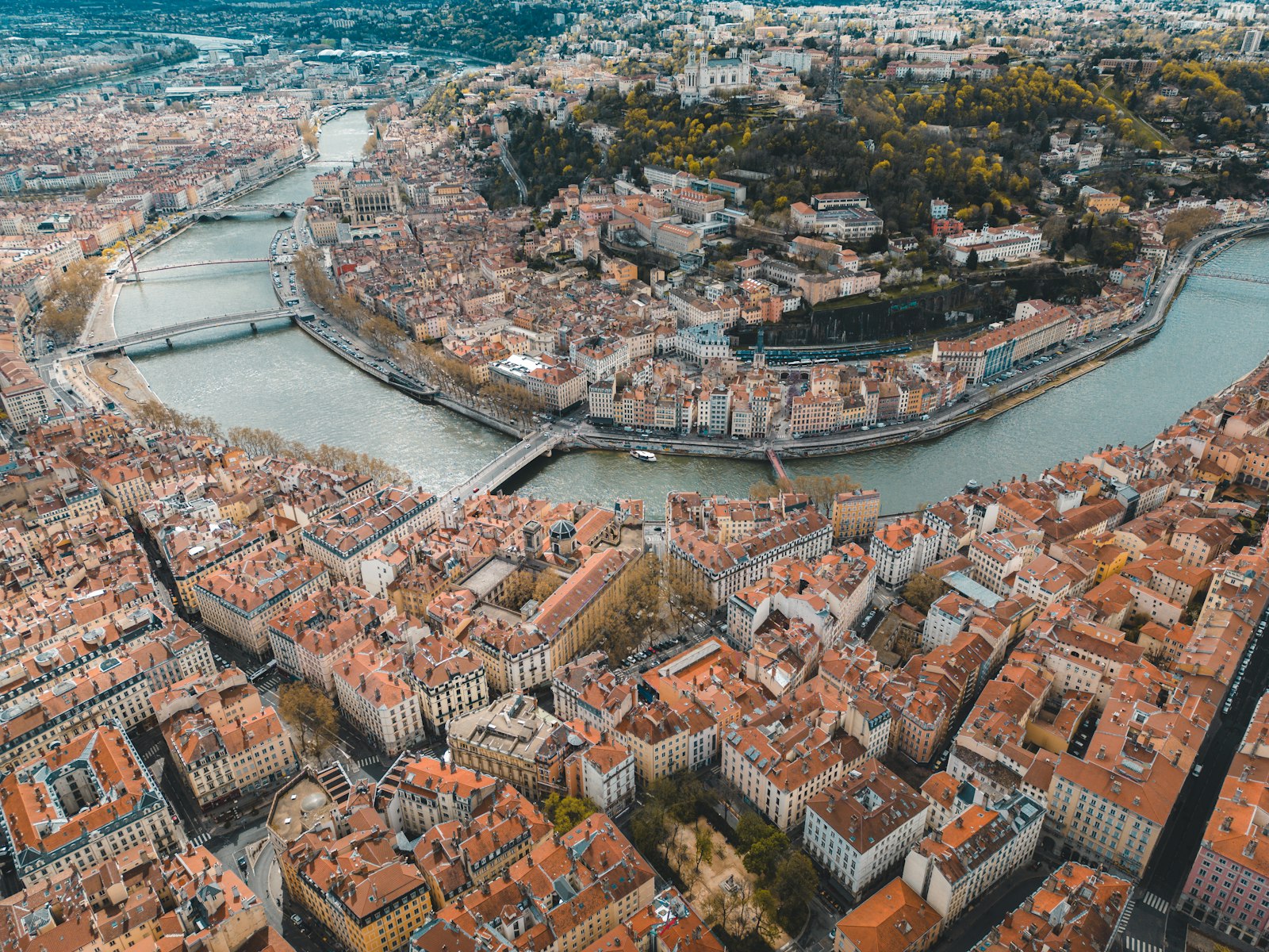 Lione