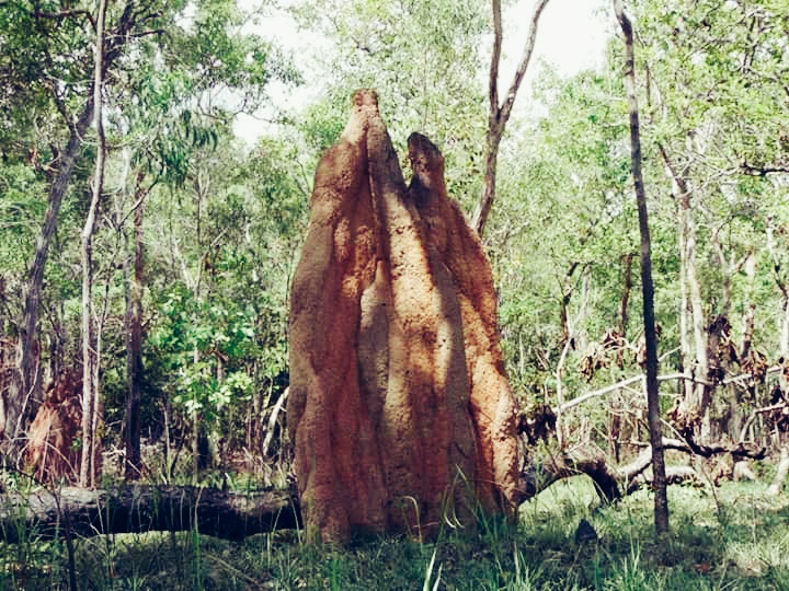 Merauke
