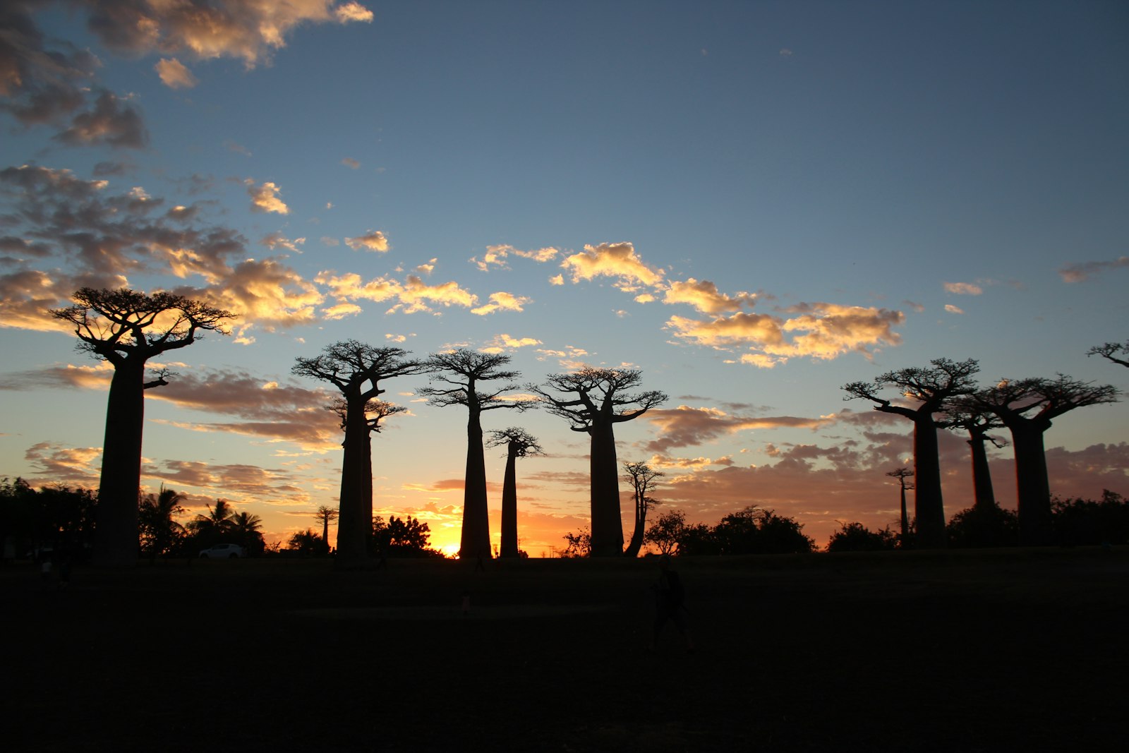 Morondava