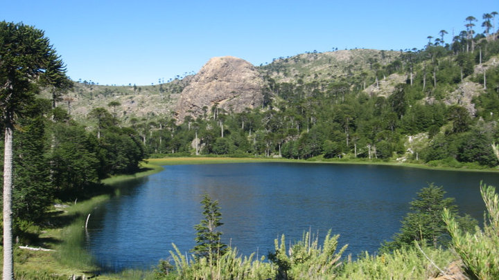 regione del Bío Bío