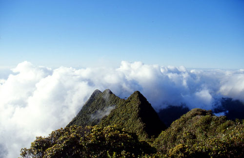 Tahiti