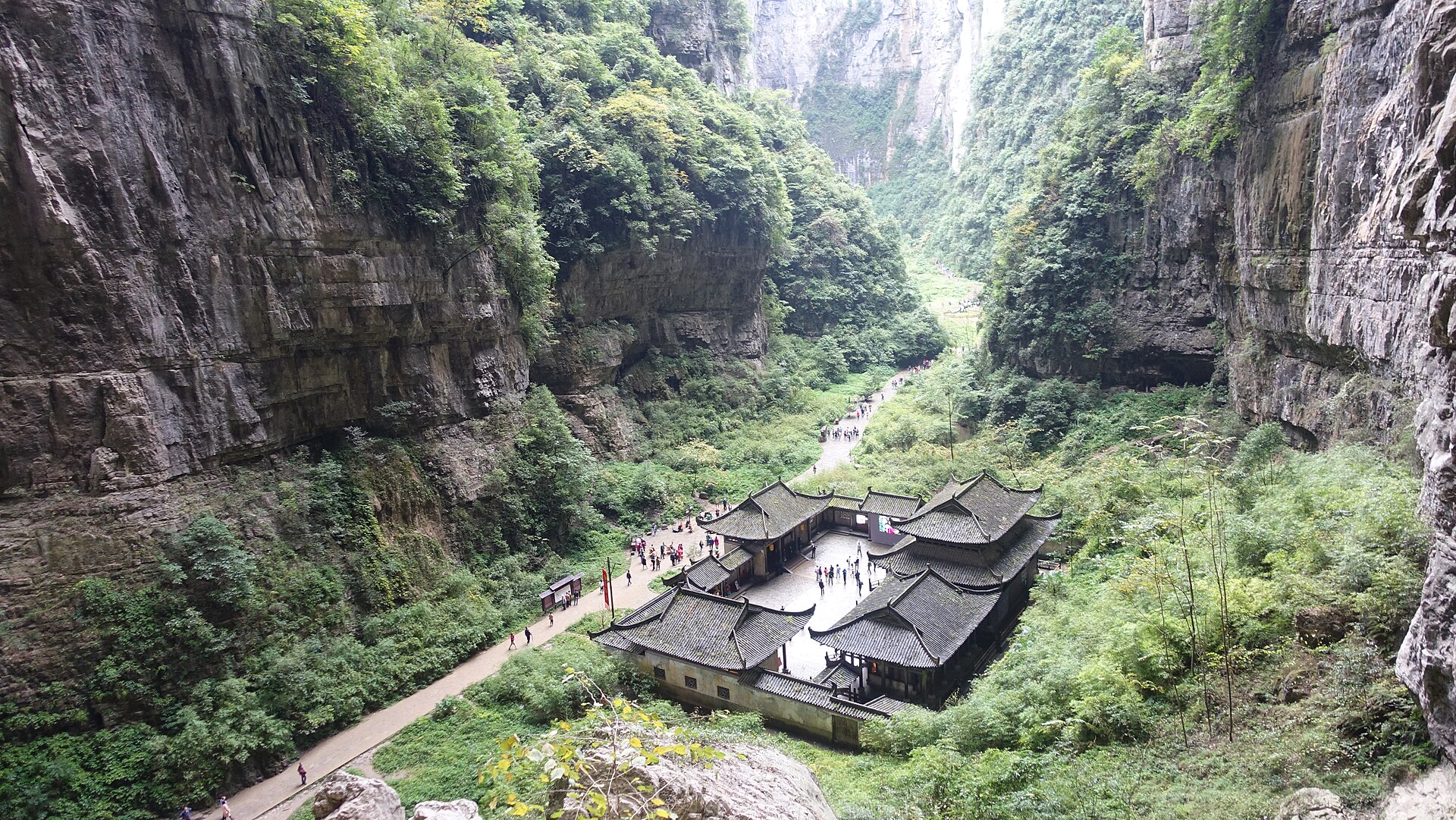 Wulong