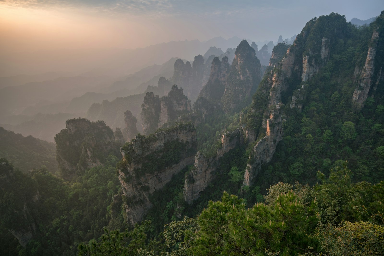 Cina