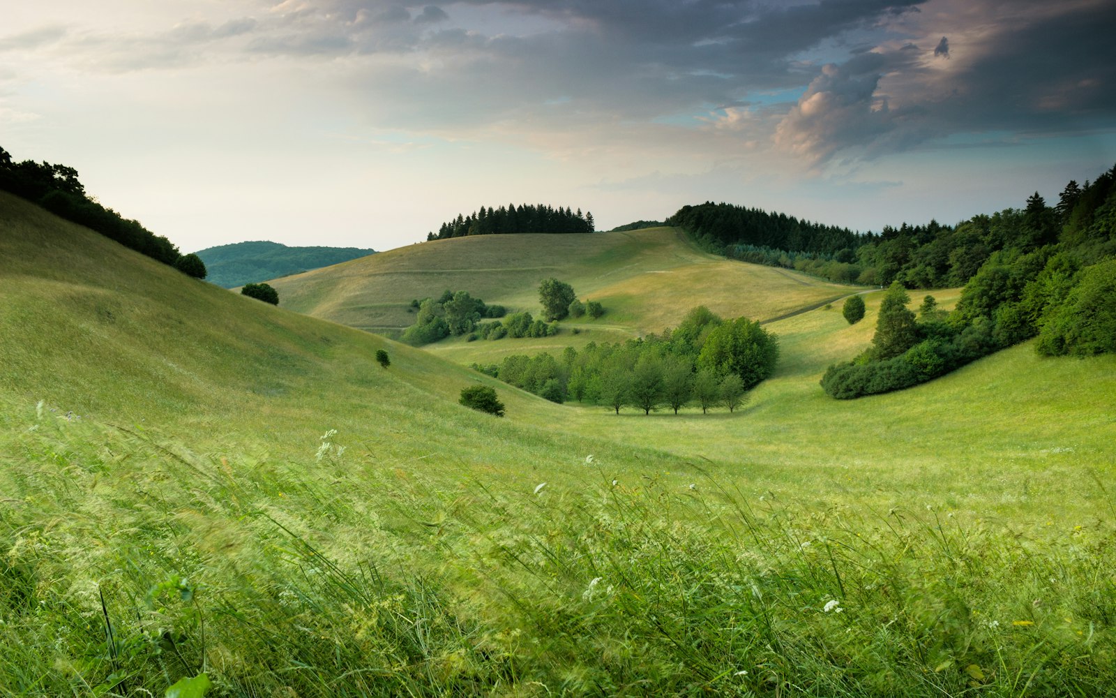 Germania