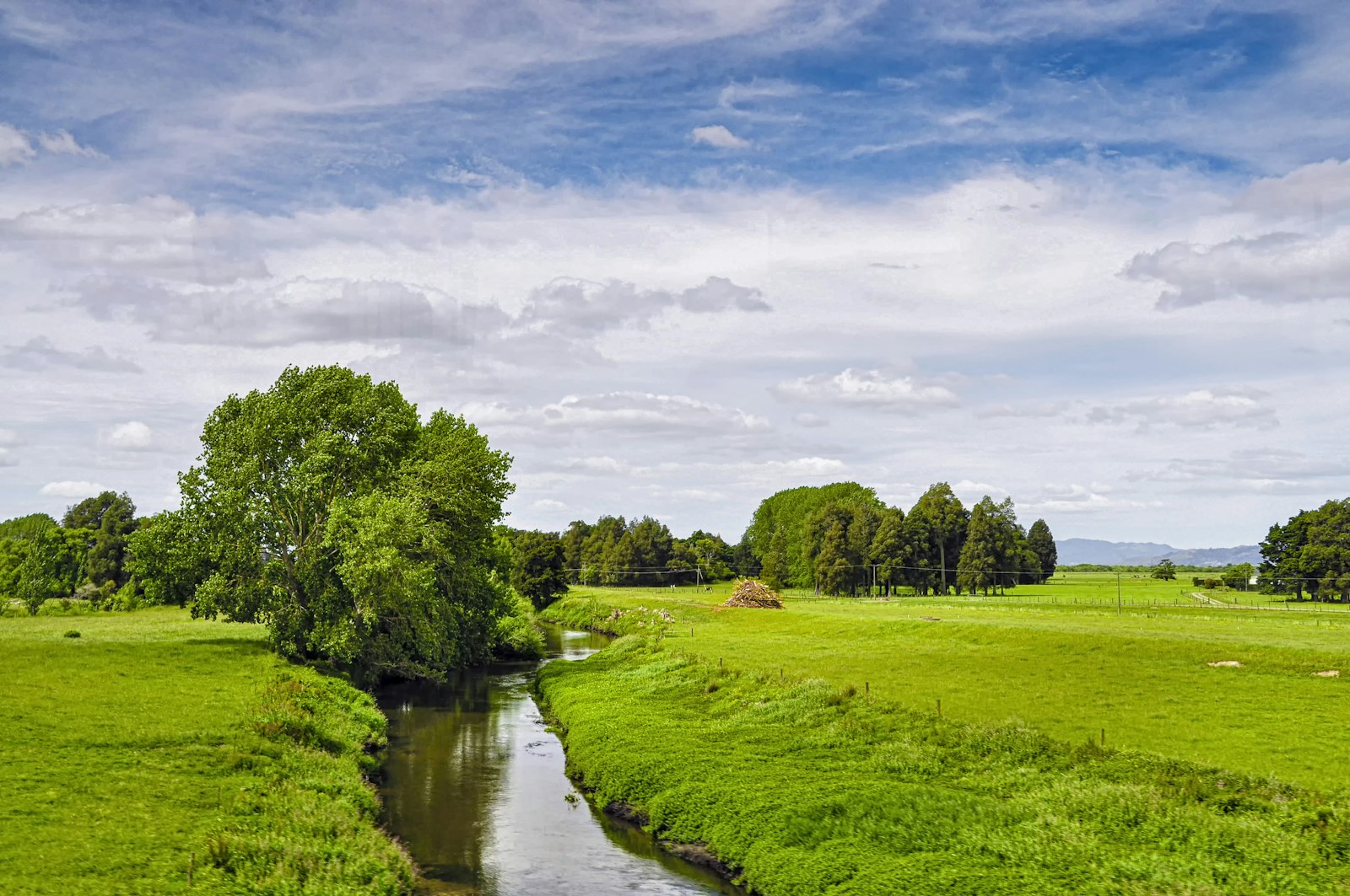 Groenlandia